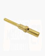 Deutsch 0460-202-1631 Gold Pin Size 16